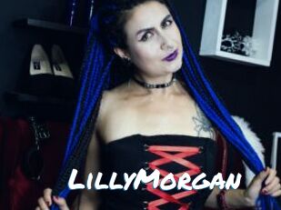LillyMorgan Max 50