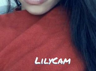 LilyCam Max 50