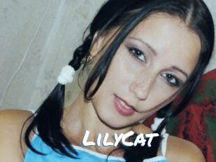 Lily_Cat_