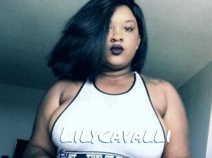 Lily_Cavalli