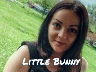 Little_Bunny_