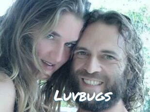 Luvbugs