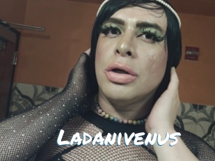 Ladanivenus
