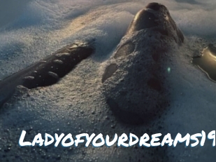 Ladyofyourdreams19