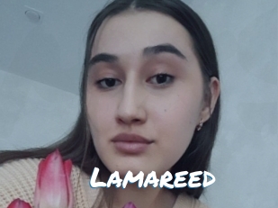 Lamareed