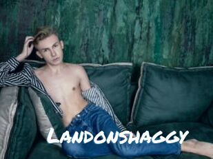 Landonshaggy