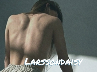 Larssondaisy