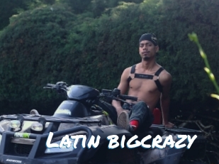 Latin_bigcrazy