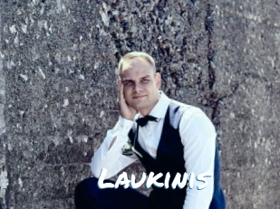 Laukinis