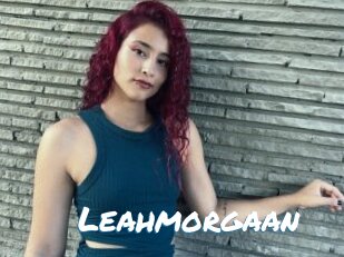 Leahmorgaan