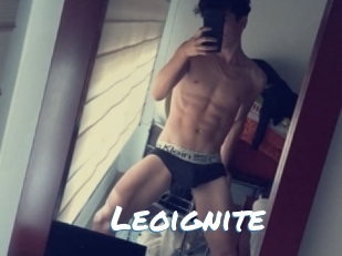 Leoignite