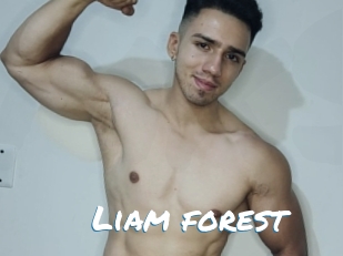 Liam_forest
