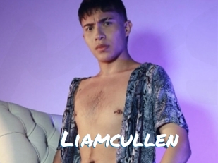 Liamcullen