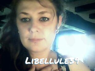 Libellule39