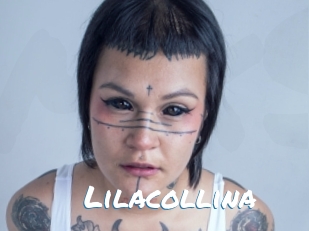Lilacollina