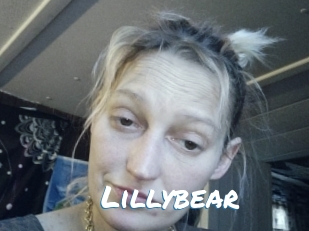 lillybear Max 50