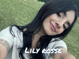 Lily_rosse