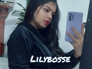 Lilybosse