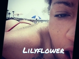 lilyflower Max 50