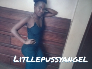Litllepussyangel
