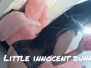 Little_innocent_bunny