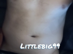 Littlebig99