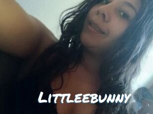 Littleebunny