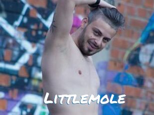 Littlemole