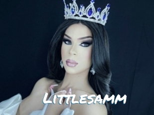Littlesamm