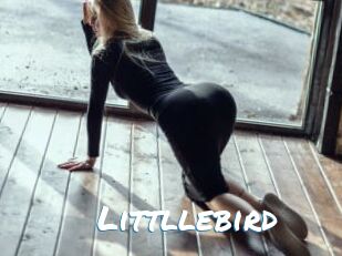 Littllebird