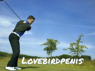Lovebirdpenis