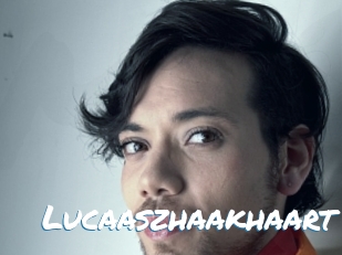 lucaaszhaakhaart Max 50