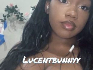 lucentbunnyy Max 50