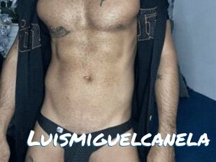 Luismiguelcanela