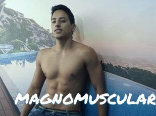 MAGNOMUSCULAR
