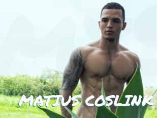 MATIUS_COSLINK