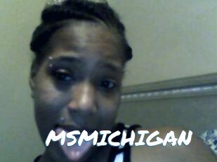 MSMICHIGAN