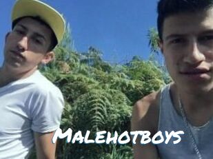 Malehotboys