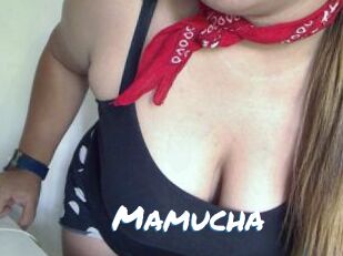 Mamucha