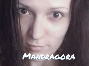 Mandragora