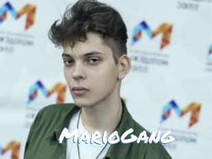 MarioGang