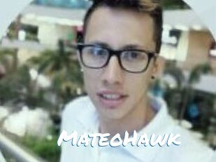 MateoHawk