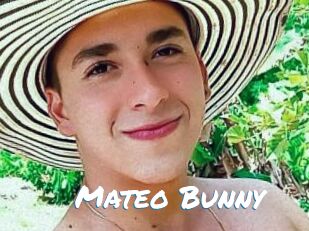 Mateo_Bunny