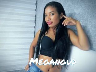 Megangud