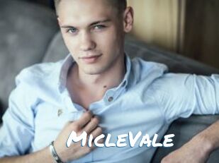 MicleVale Max 50