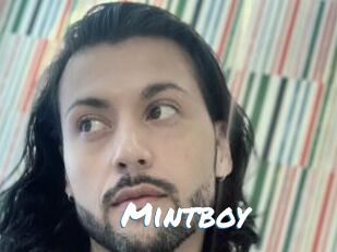 Mintboy