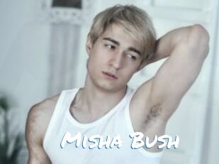 Misha_Bush