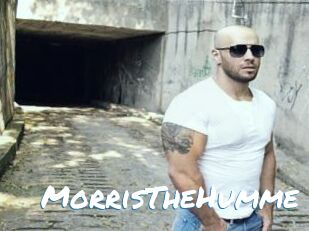 MorrisTheHumme