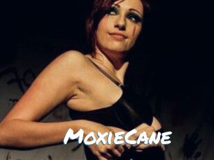 Moxie_Cane