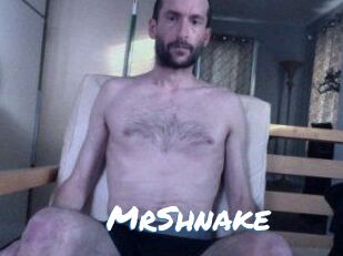 MrShnake